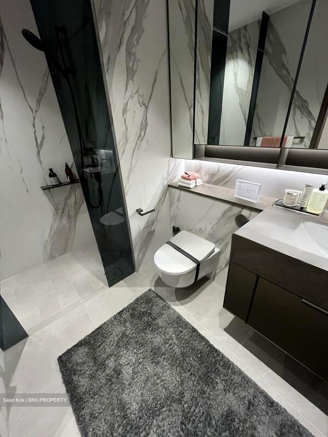 Zion Road (D3), Condominium #483584851